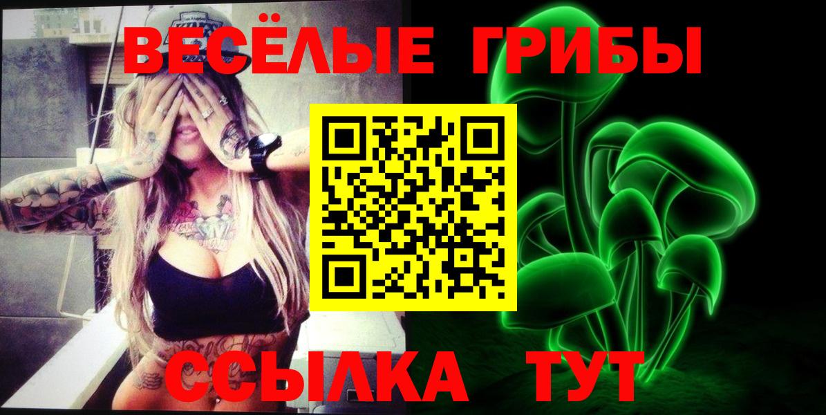 Псилоцибиновые грибы прущие грибы Сибай